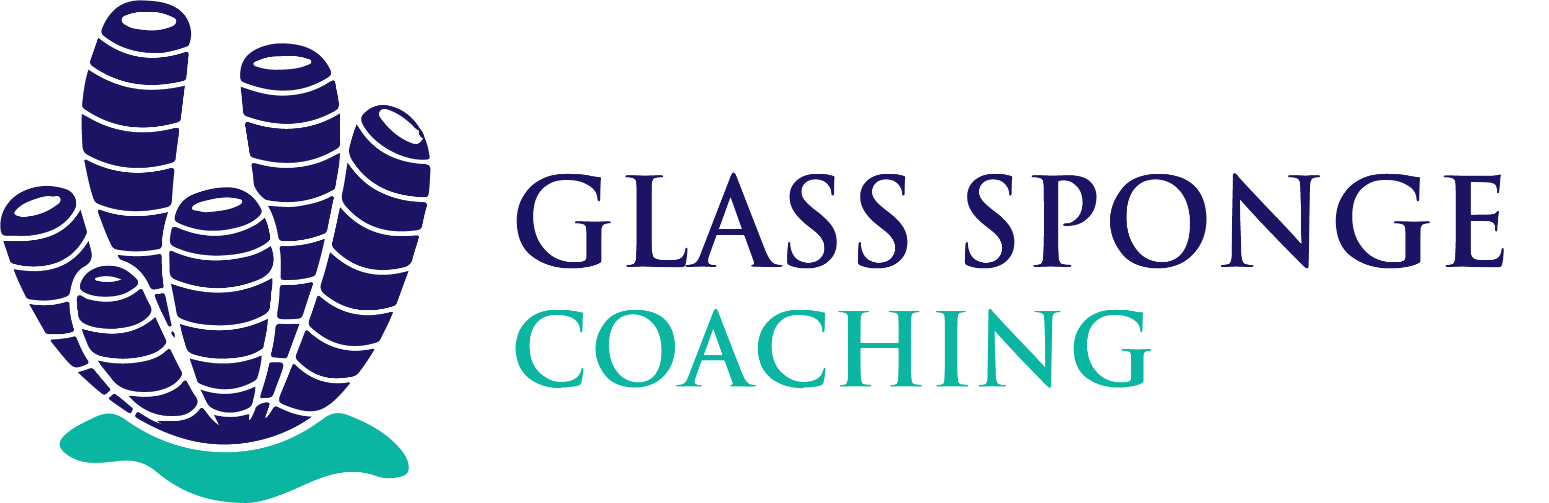 Glass Sponge Coaching